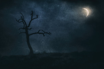 Lonely and dry tree at night under moonlight