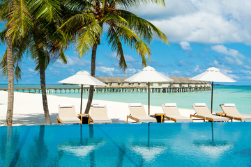 Fototapeta na wymiar Large infinity pool on the shores of the Indian Ocean with sunbeds and umbrellas in the shade of the palm trees
