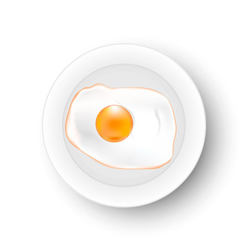 Fried egg on a plate. Omelet. Vector.