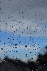 raindrops on the window