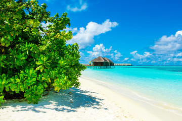 Beautiful sandy beach with sunbeds and umbrellas in Indian ocean, Maldives island