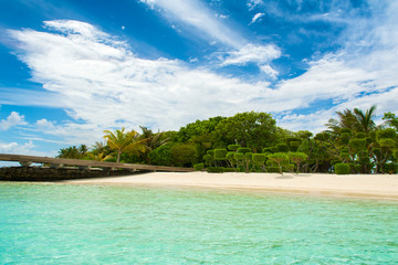 Beautiful tropical garden on the sandy shores of the Indian Ocean