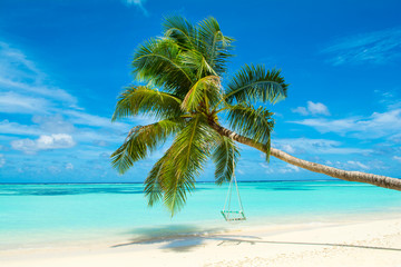 Fototapeta na wymiar Tropical landscape with swings in the palm tree on the shores of Indian Ocean