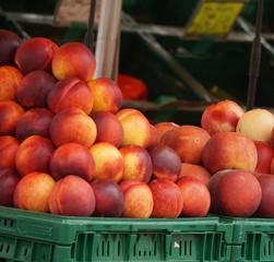 frische Pfirsiche und Nektarinen