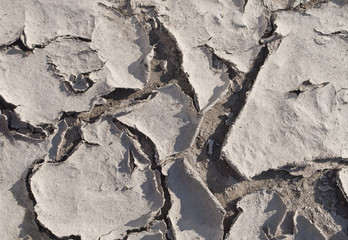 Ausgetrocknete Erde mit Gras Klimawandel Erderwärmung