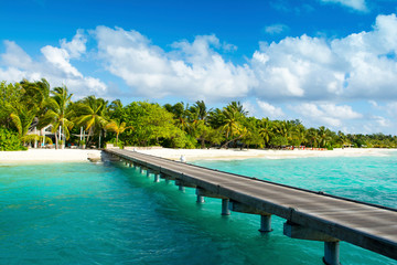 BWooden bridge to beautiful sandy beach under the shade of palms and tropical plants, Maldives - obrazy, fototapety, plakaty