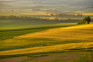 Obraz premium Rolling hills on sunset. Rural landscape. Green fields and farmlands, fresh vibrant colors