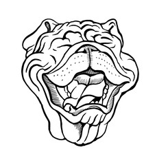 English Bulldog portrait