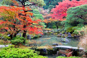 Papier Peint photo Lavable Automne Paysage d& 39 automne feuilles d& 39 automne au jardin japonais, Kyoto Japon