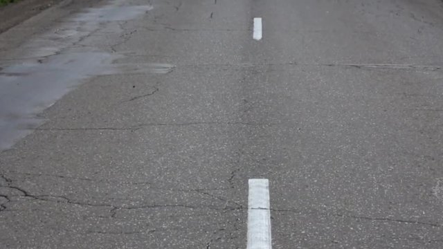 Lettland Landstra&szlig;e, Schwenk von Stra&szlig;enmarkierung aufw&auml;rts zur Totalen mit Horizont