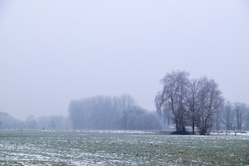 Ein Nebeltag im Münsterland