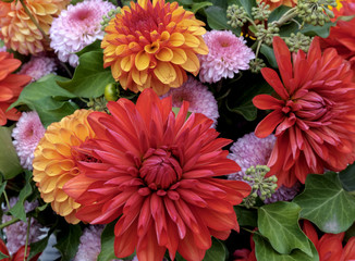 Ein bunter Dahlienstrauß (Dahlia) © AnnaReinert