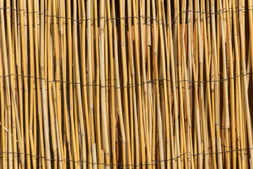 Verdrahteter Bambus