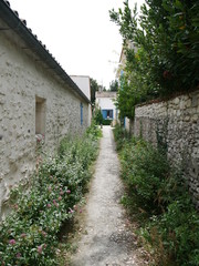 Fototapeta na wymiar Talmont-sur-Gironde