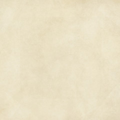 grunge background with space for text or image