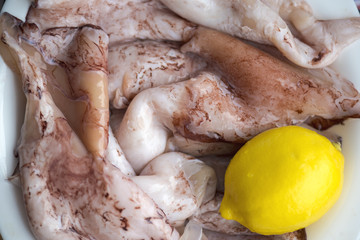 Close-up meat of fresh squid before cooking, food background