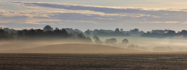 Misty summer morning in Sjaellan, Denmark. Morning scene near Tappernoje. © u.perreten