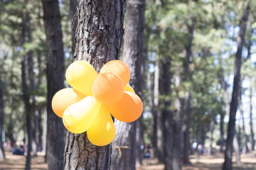 Balões no bosque