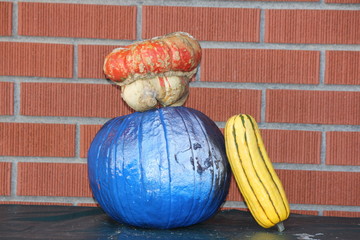 Freshly cut ripe small painted pumpkin with a squash, decorated, ready for display or sale.   for Halloween.