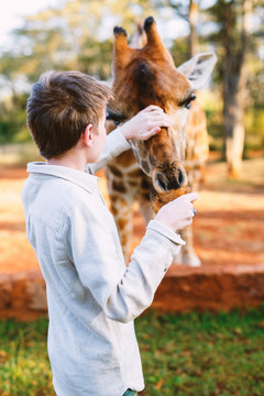 Young boy feeding giraffes in Africa
