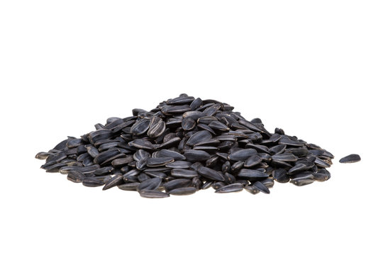 top view of pile of black roasted sunflower seeds isolated on white background with clipping path.