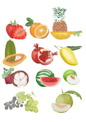 vector hand drawn fruit set for background graphic design
