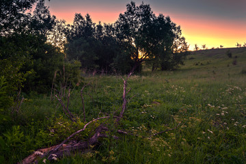 Spring nature beauty