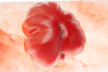 Bio Tomate außerhalb EU Norm