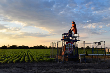 Rod crude oil pump and farmland during sunset time    