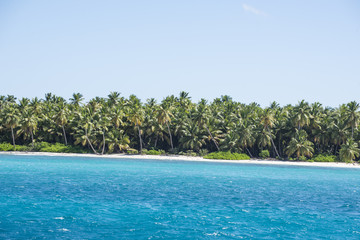 Fototapeta na wymiar Caribbean sea with turquoise water and palms close to saona island