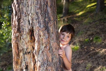 the boy hides behind a tree