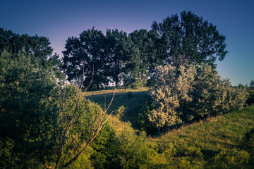 Spring nature beauty