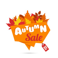 autumn sale banner 