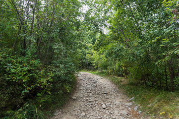 Fototapeta premium Stone path through the Rodna Mountains National Park