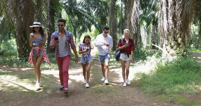People Group With Backpacks Walking Using Cell Smart Phones, Men And Woman Chatting Online On Trekking In Palm Tree Forest Slow Motion 60