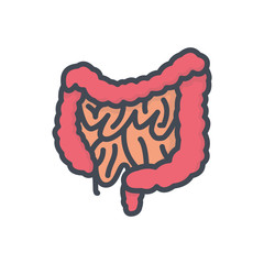 Human organs colored icon intestine