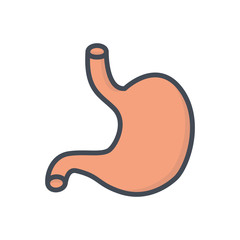 Human organs colored icon stomach
