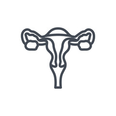 Human organs line icon uterus