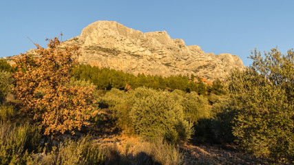 the famous Montagne Sainte-Victoire, near Aix-en-Provence, which inspired the painter Paul Cezanne