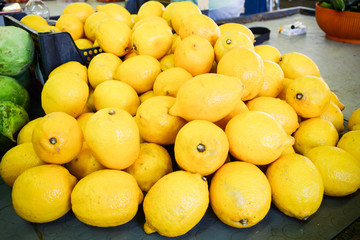 a group of italian lemons