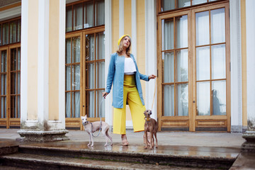 Young woman with two Italian greyhounds. outdoor