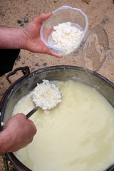 Fabrication de la tomme de Savoie. French cheese. Agricultural Fair..