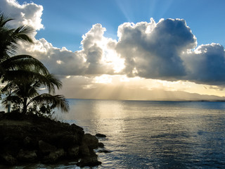 Beautiful sunset over the sea with a view at palms with cloudy sky in Guadeloupe, Caribbean, Antilles.