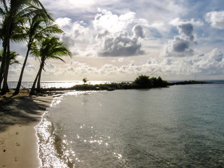 Coconut palms, turquoise sea and white sandy beach of Sainte-Anne at sunset in Guadeloupe, Grande-Teerre, Antilles, Caribbean.