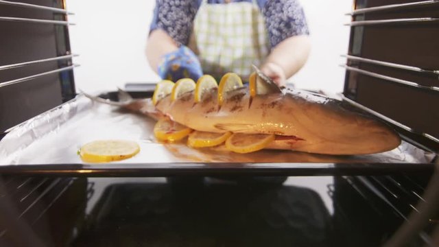 Cooking whole roasted fish seriola with lemon baked in the oven. Woman puts a foil lined baking sheet with raw amberjack into the hot oven. View from inside of the electric convection oven.