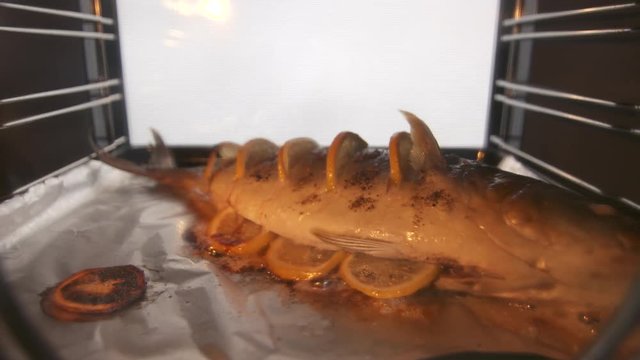 Cooking whole roasted fish seriola with lemon baked in the oven. Closeup of yellowtail roasting on a baking sheet inside electric oven. Amberjack preparation under high heat
