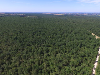 Forêt de la Braconne Charente France vue Aerienne