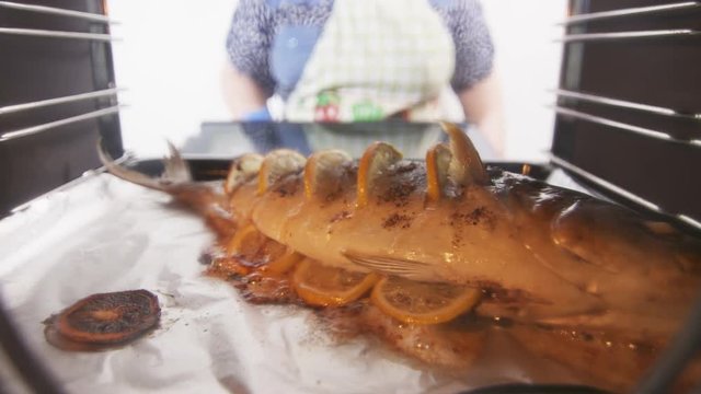 Cooking whole roasted fish seriola with lemon baked in the oven. Woman chef takes cooked amberjack out of the hot oven. Yellowtail preparation under high heat inside electric convection oven.