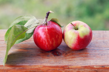 Red apples on the table