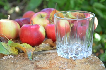 organic fresh beautiful red apples in a village in a garden on a wooden surface on a stump with a glass of juice or cider